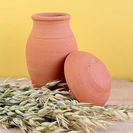 Pot en terre cuite pour irrigation et sachet graines de fleurs