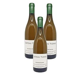 3 Saumur Château Yvonne 2023 bio